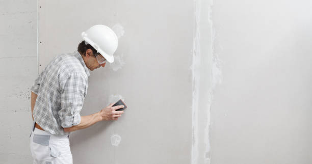 Forensic Mold Investigation in Upper Greenwood Lake, NJ