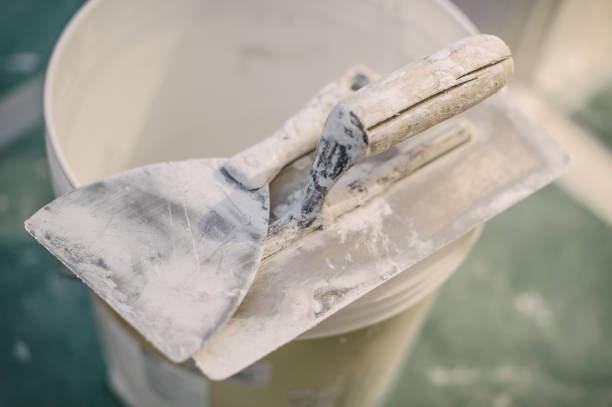 Reliable Upper Greenwood Lake, NJ Mold Removal Solutions